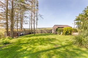 Photo 10- click for photo gallery